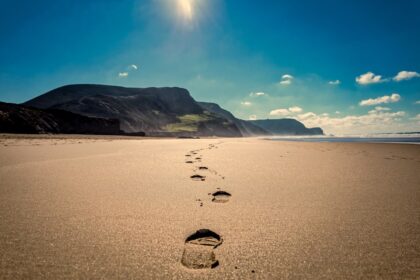 chemin de vie plage chemin de vie