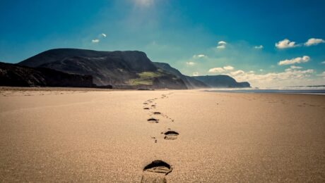 chemin de vie