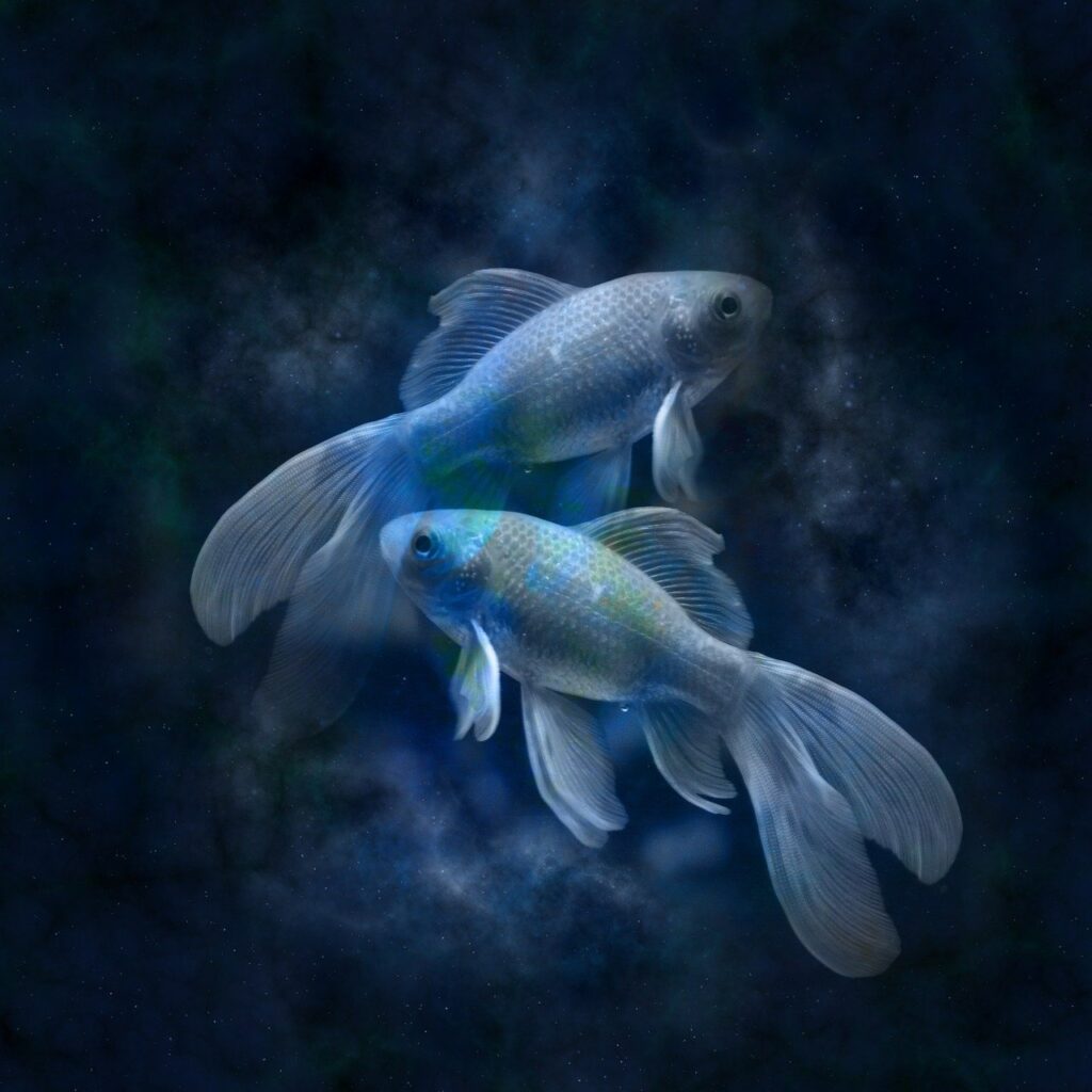poissons astro