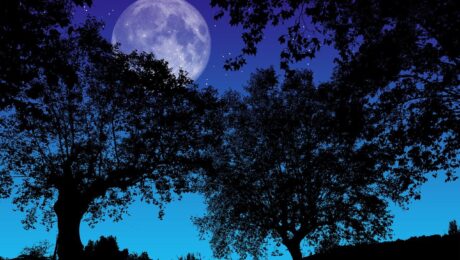 pleine-lune